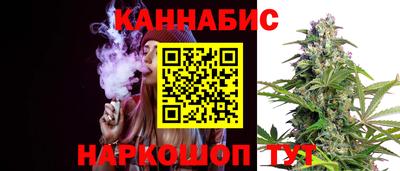 крисы Кунгур